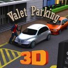 3D Valet Parking